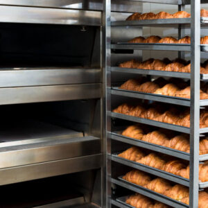 Forni e lievitatori professionali
